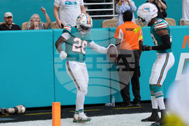 Bengals Dolphins Football