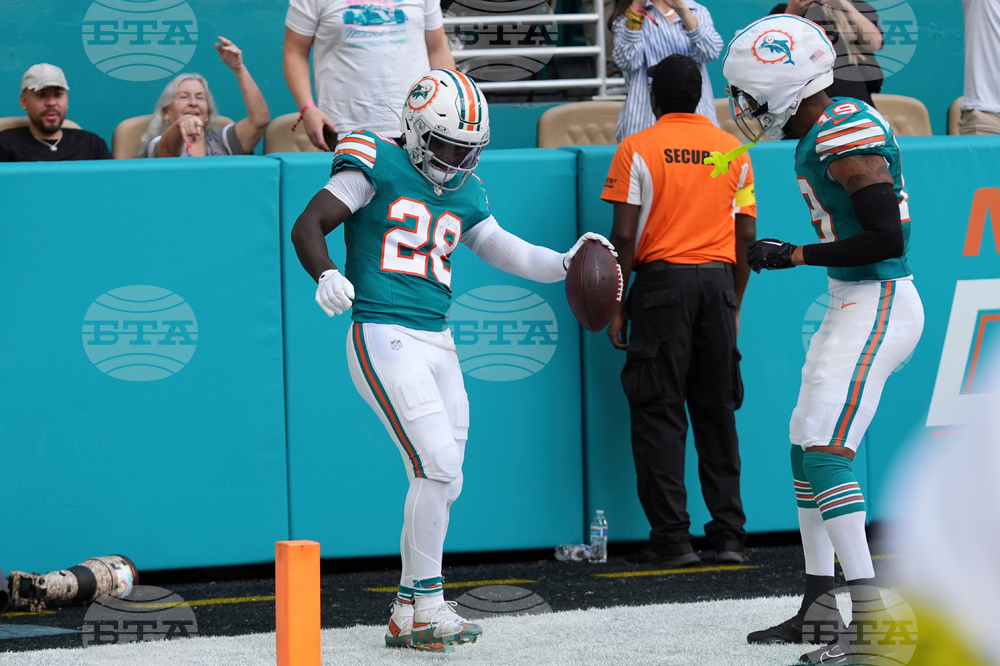 Bengals Dolphins Football