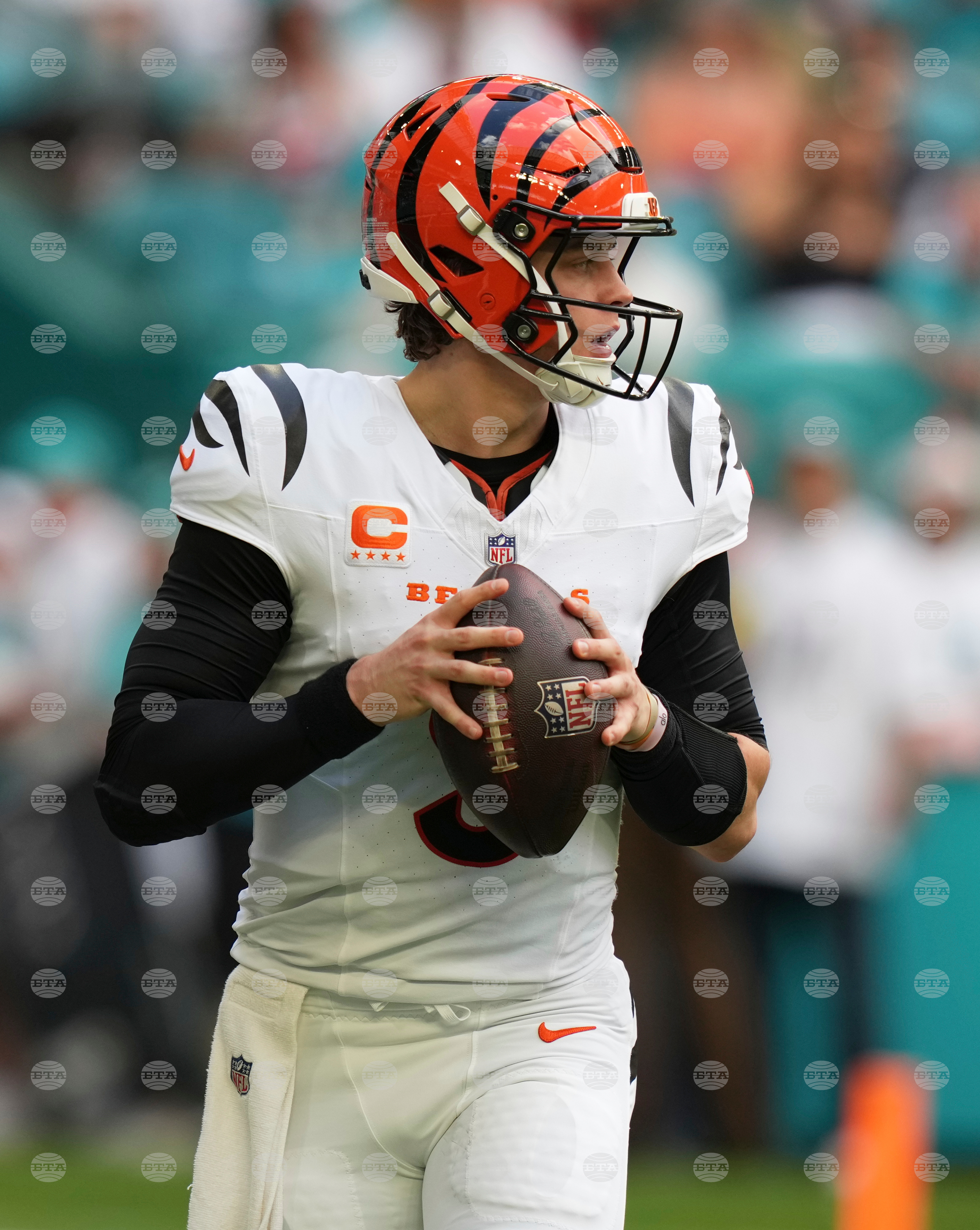 Bengals Dolphins Football