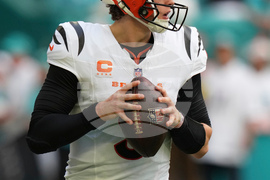 Bengals Dolphins Football