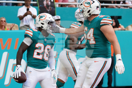 Bengals Dolphins Football