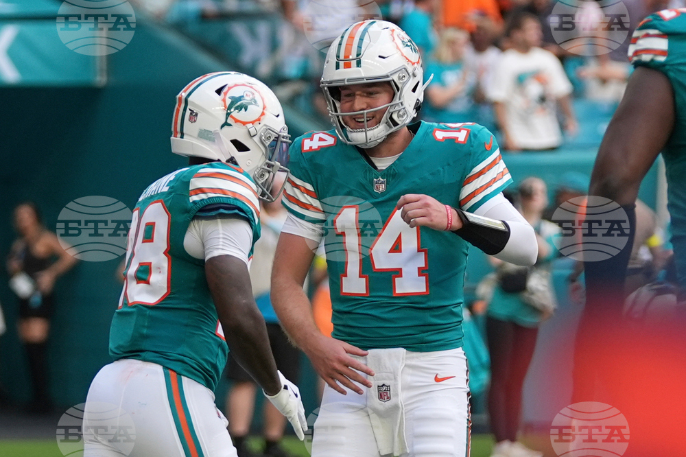 Bengals Dolphins Football