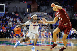 Colgate Florida Basketball