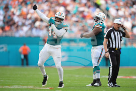 Bengals Dolphins Football