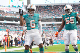 Bengals Dolphins Football