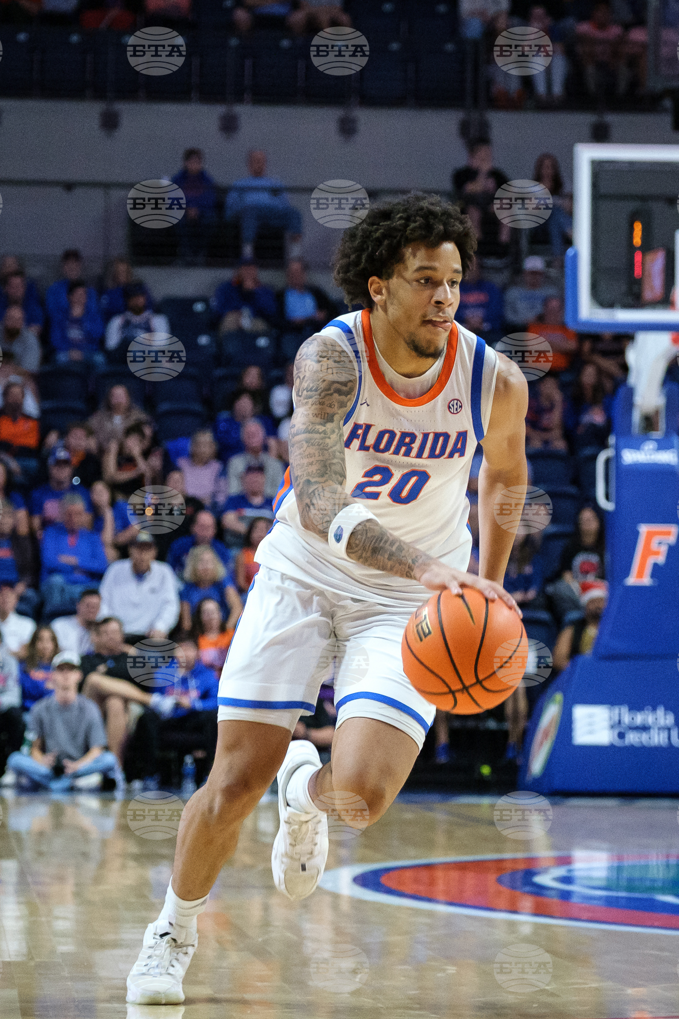 Colgate Florida Basketball