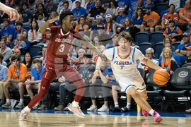 Colgate Florida Basketball