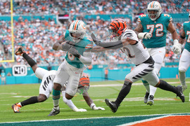 Bengals Dolphins Football
