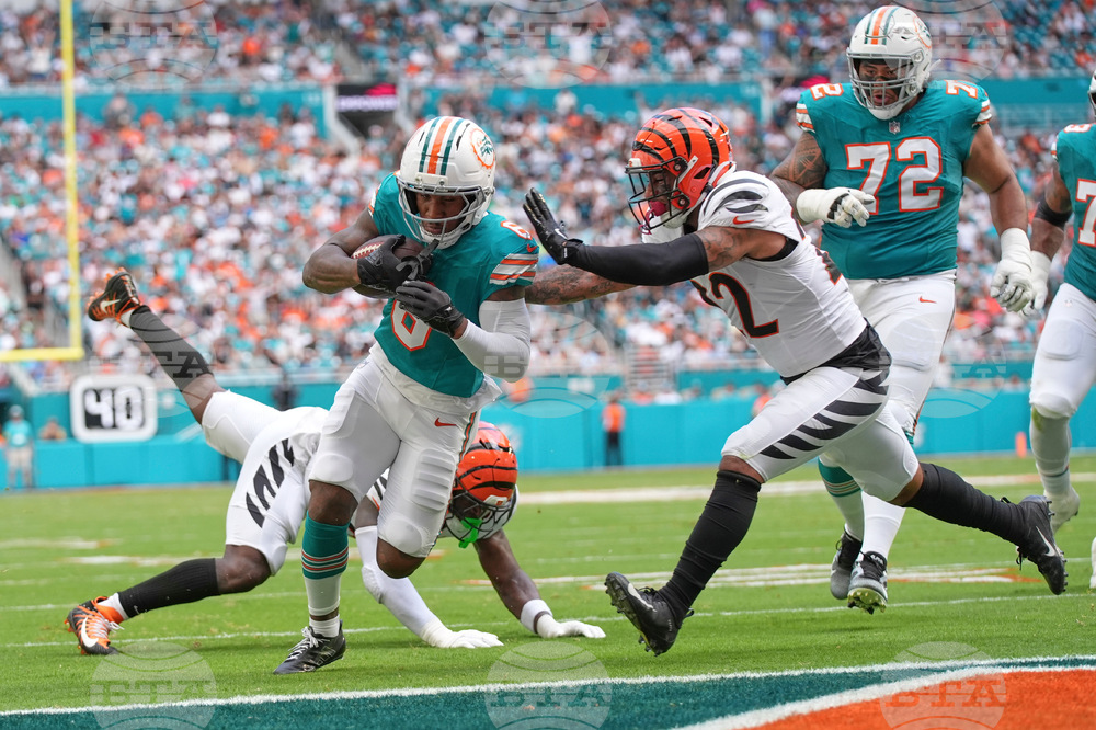 Bengals Dolphins Football