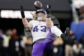 Vikings Giants Football