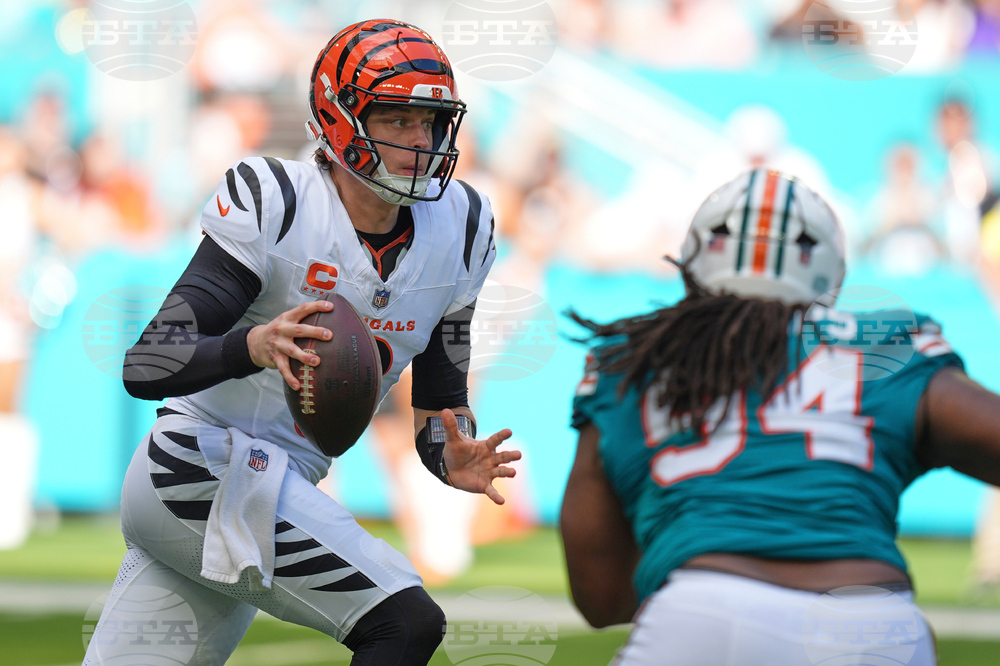 Bengals Dolphins Football