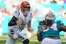 Bengals Dolphins Football