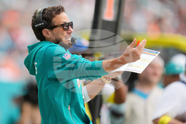 Bengals Dolphins Football