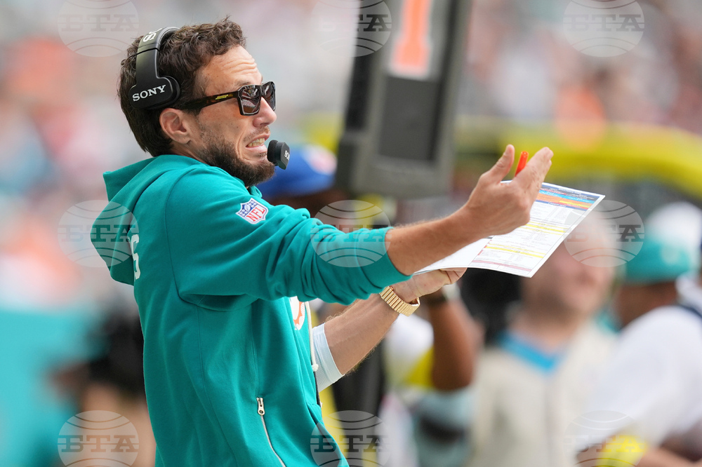 Bengals Dolphins Football