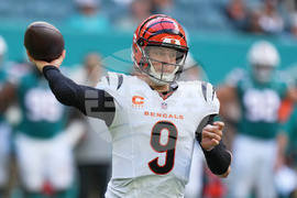 Bengals Dolphins Football