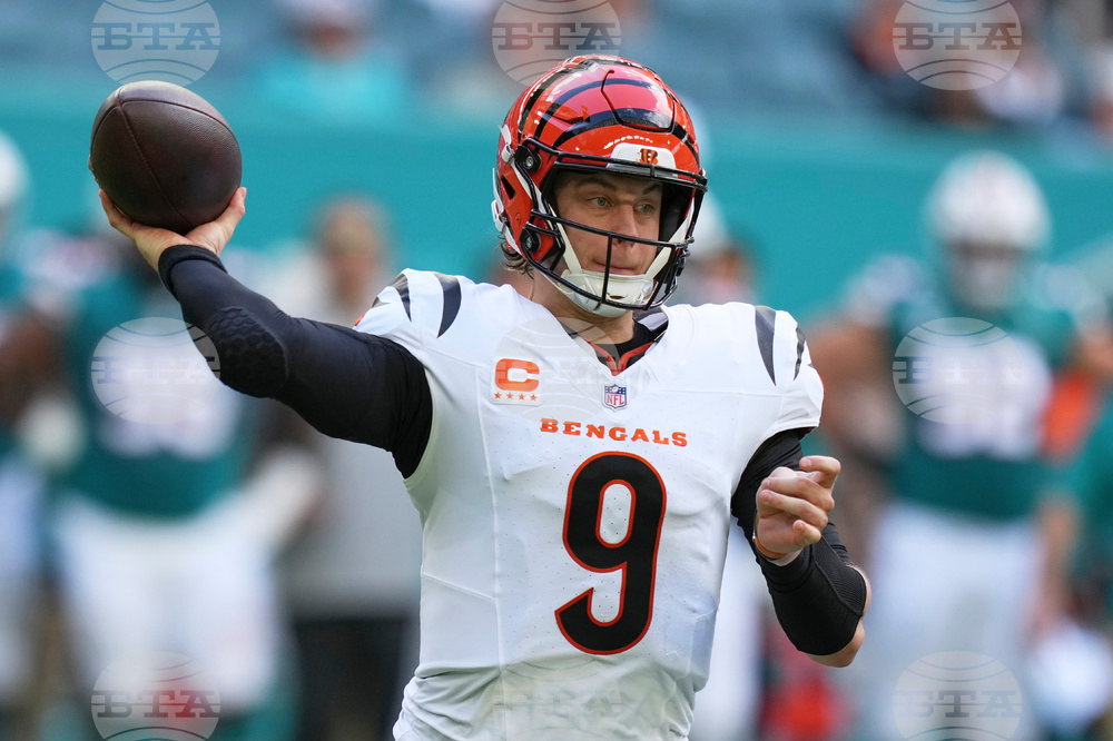 Bengals Dolphins Football