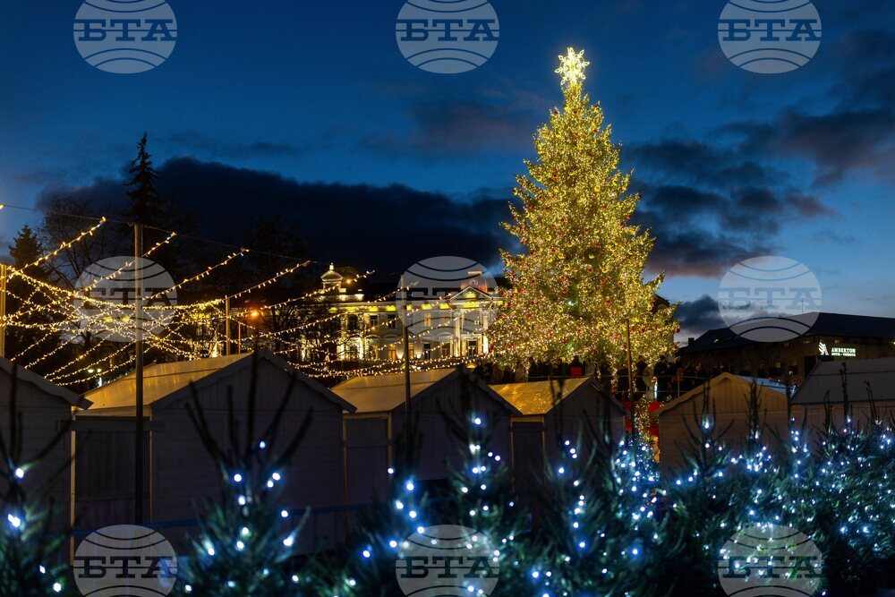 Lithuanian Christmas Holiday Lights