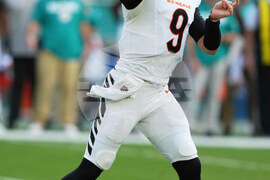Bengals Dolphins Football