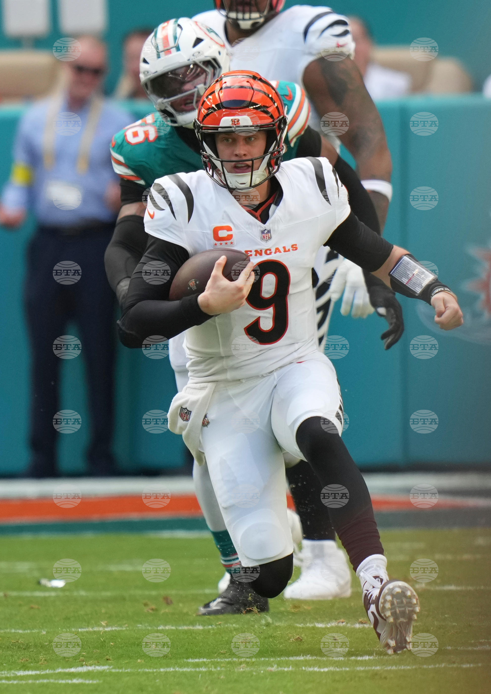 Bengals Dolphins Football