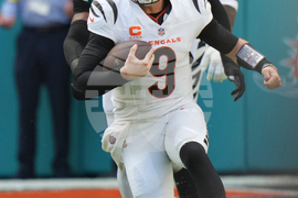 Bengals Dolphins Football