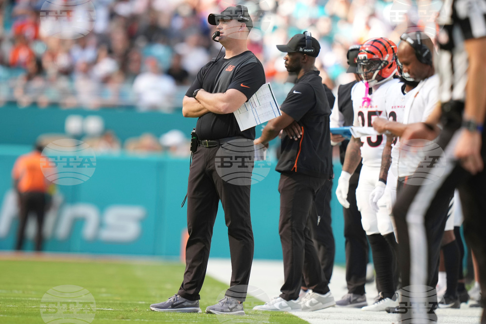 Bengals Dolphins Football