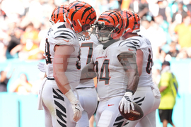 Bengals Dolphins Football