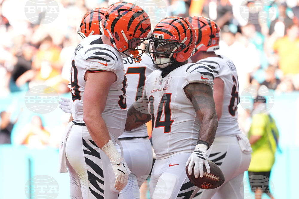 Bengals Dolphins Football