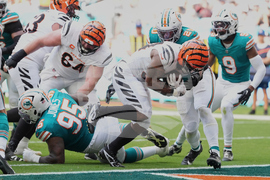 Bengals Dolphins Football