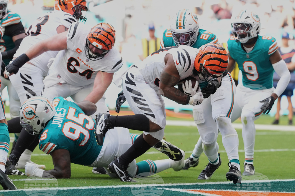 Bengals Dolphins Football