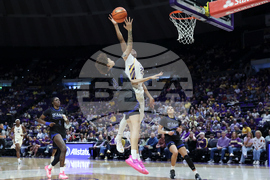 UT Arlington LSU Basketball