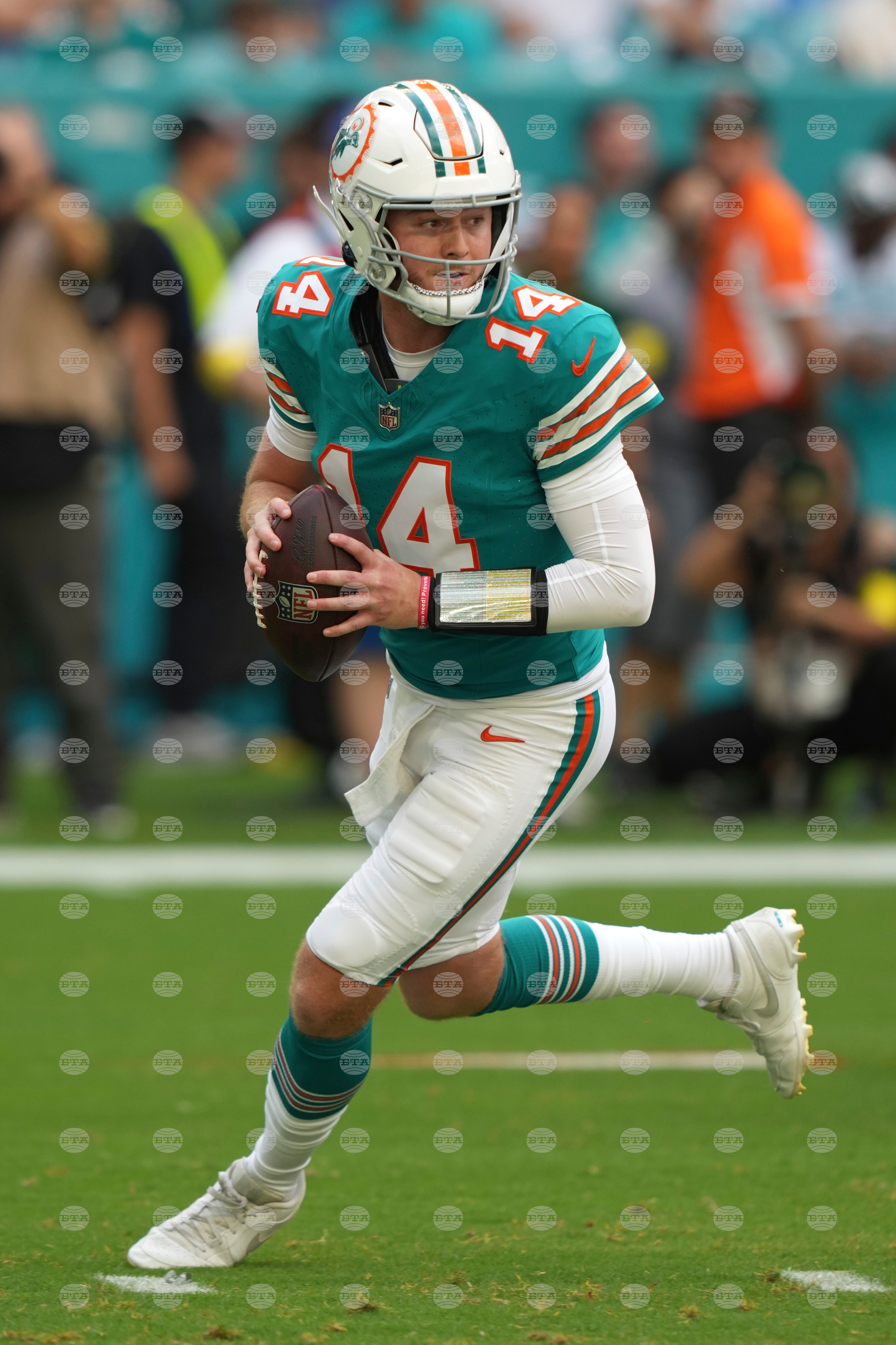 Bengals Dolphins Football