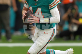 Bengals Dolphins Football