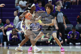 UT Arlington LSU Basketball