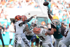 Bengals Dolphins Football