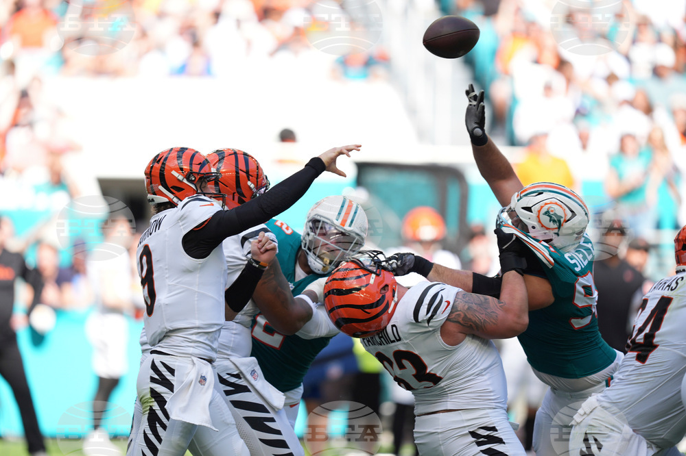 Bengals Dolphins Football