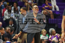 UT Arlington LSU Basketball