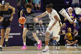 UT Arlington LSU Basketball