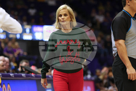 UT Arlington LSU Basketball