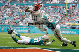 APTOPIX Bengals Dolphins Football