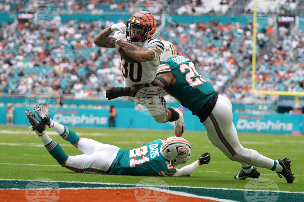 APTOPIX Bengals Dolphins Football