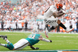 Bengals Dolphins Football