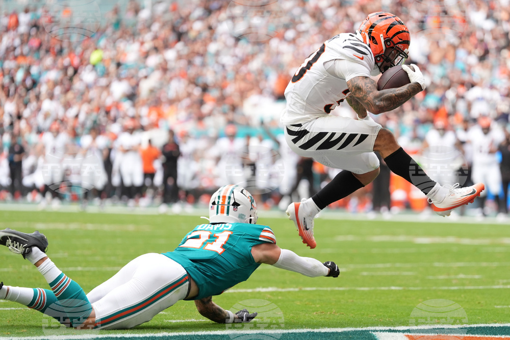 Bengals Dolphins Football