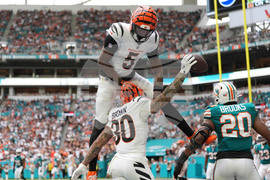 Bengals Dolphins Football