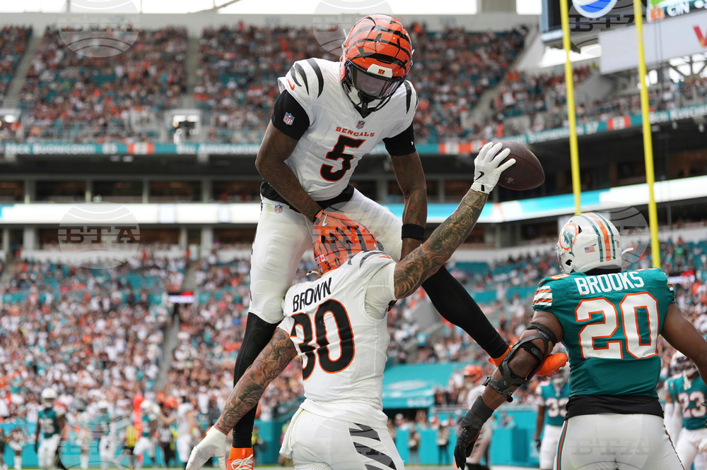 Bengals Dolphins Football