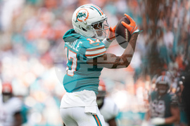 Bengals Dolphins Football