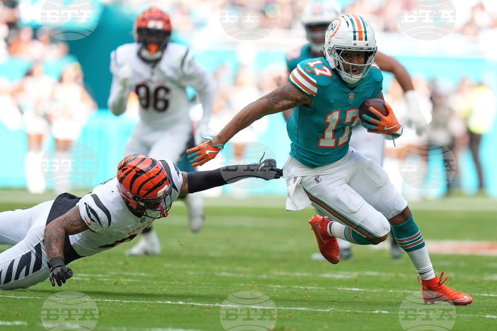 Bengals Dolphins Football