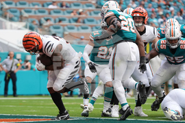 Bengals Dolphins Football