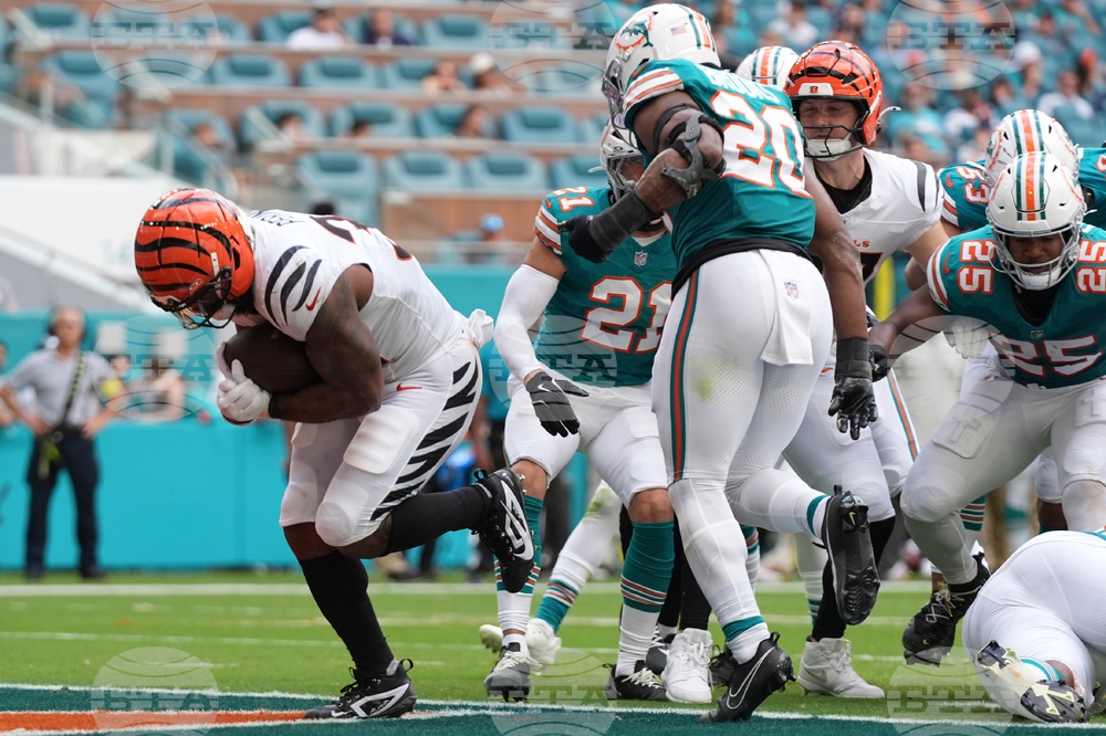 Bengals Dolphins Football