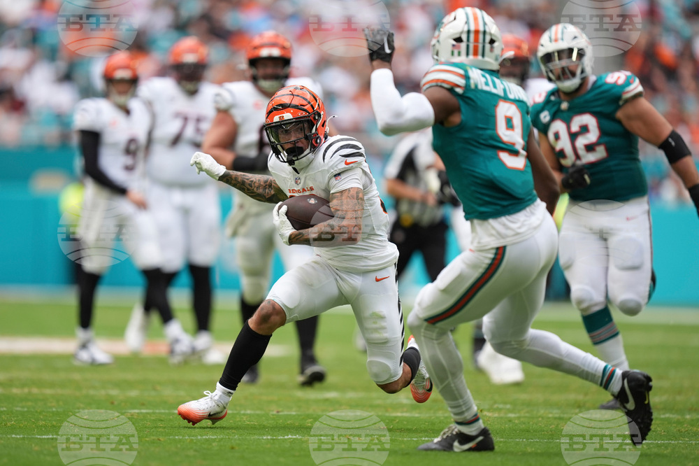 Bengals Dolphins Football
