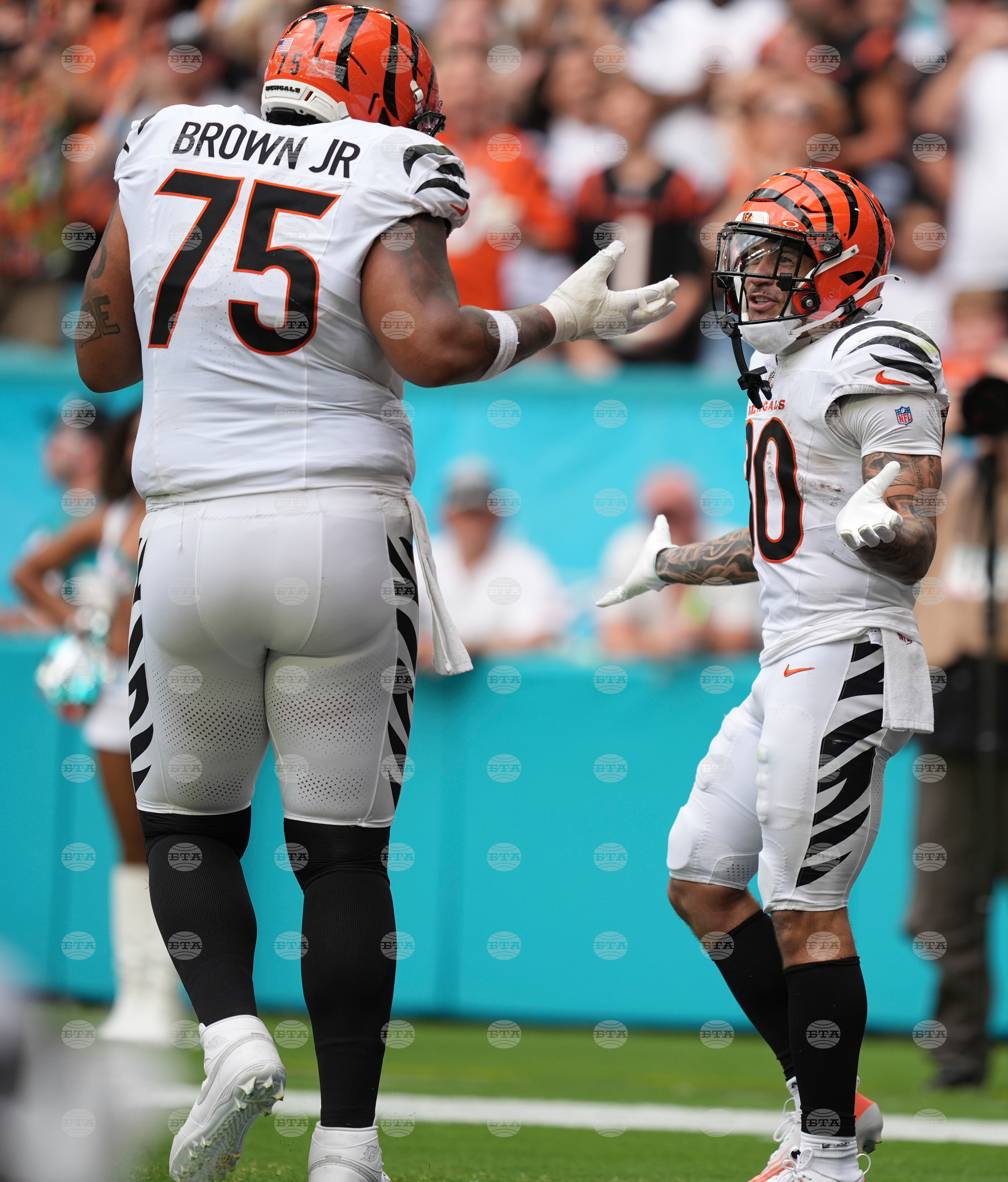 Bengals Dolphins Football